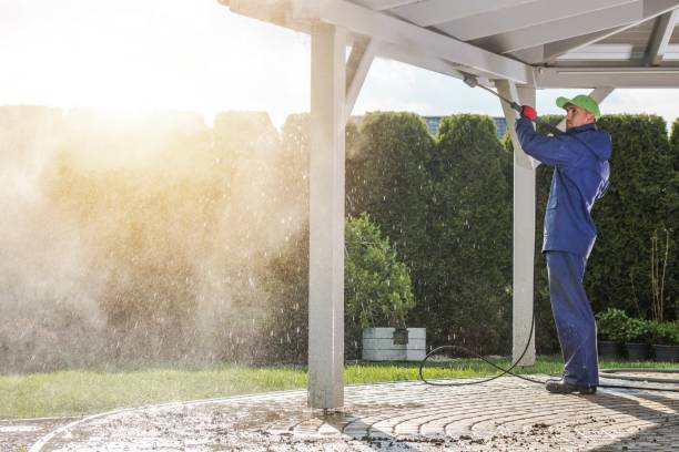 Best Building Exterior Washing  in Winsted, MN