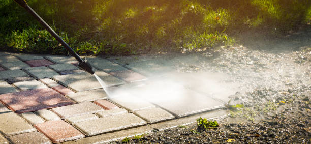 Best Driveway Pressure Washing  in Winsted, MN